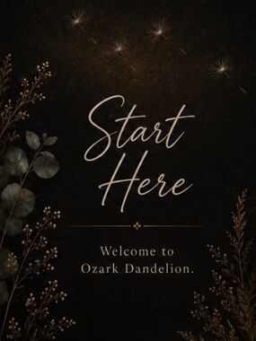 ✨🤎 Start Here 🤎 ✨